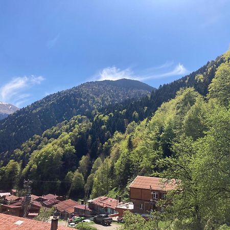 Sefa Apart Uzungöl Exterior foto
